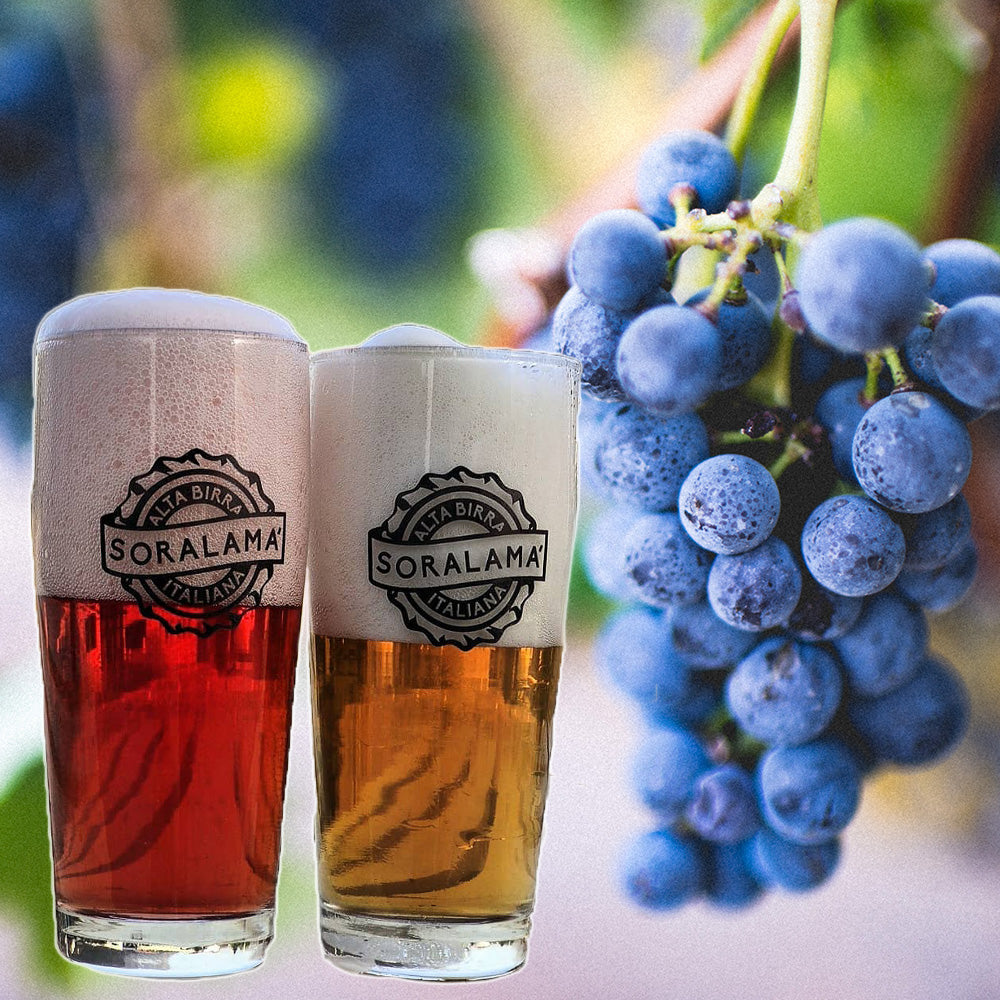 イタリアングレープエール IGA