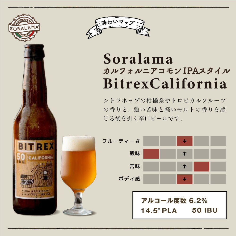 クラフトビール 3種 シムコーのシングルホップ / ラガー酵母の辛口ビール / アメリカンIPA