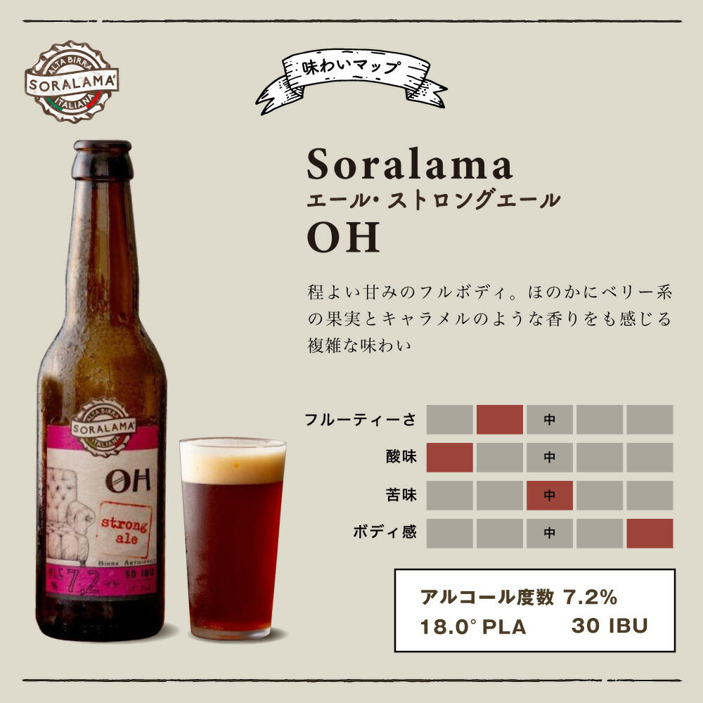 クラフトビール 3種 ドライなラガー / 果実の香りのボック / ストロングエール
