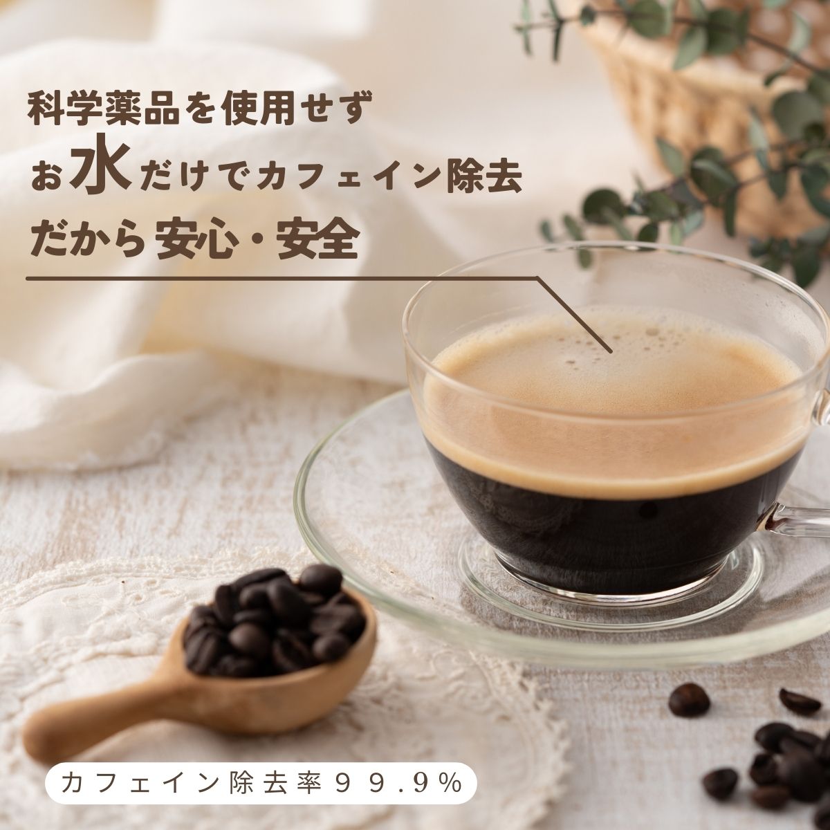 カフェインレスコーヒー豆「Dolce Vita」