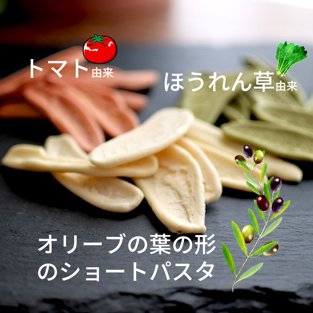 ショートパスタ 2種1食ずつ 伝統のねじれパスタ / オリーブの葉型